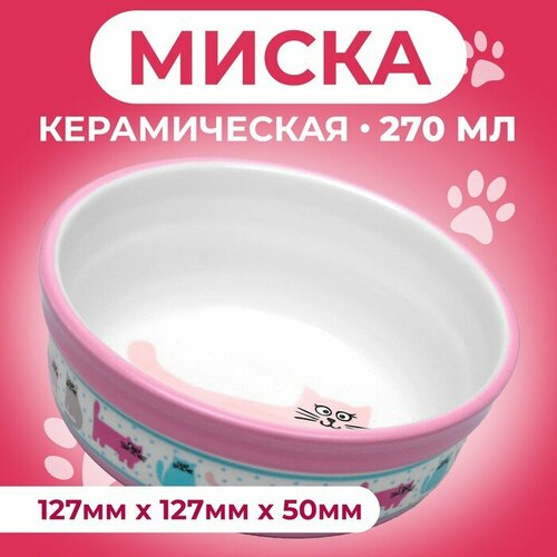 Миска керамическая Кошачья жизнь, 300 мл, 12,7 х 5 см, розовая миска керамическая кошачья жизнь 350 мл 12 7 х 5 см розовая