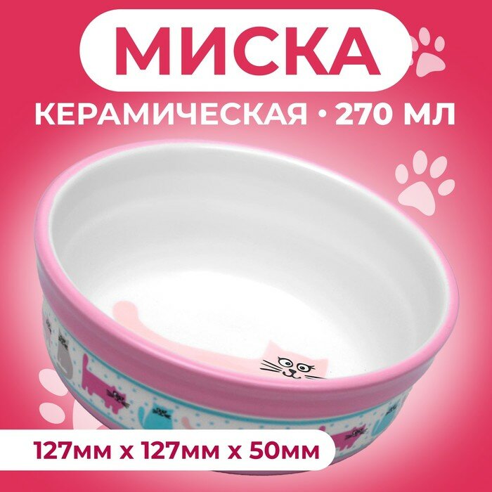 Пижон Миска керамическая "Кошачья жизнь" 270 мл 12,7 х 5 см, розовая