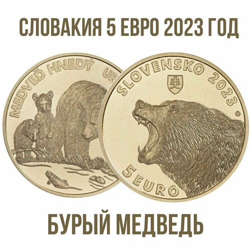 Словакия 5 евро 2023 год Бурый медведь UNC