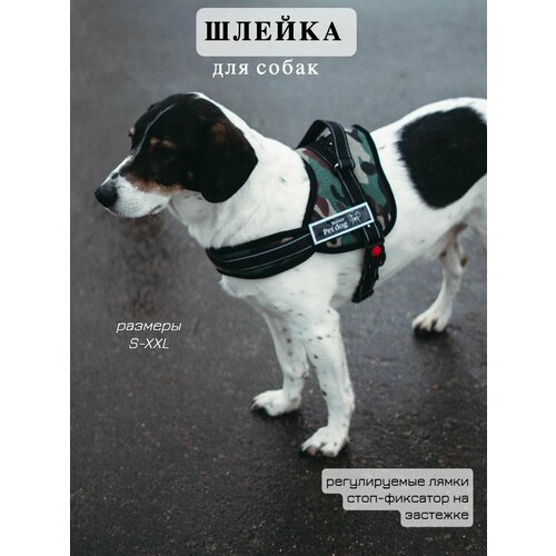 Шлейка для собак анатомическая размер XL для крупных средних и мелких пород средних и мелких пород 950₽