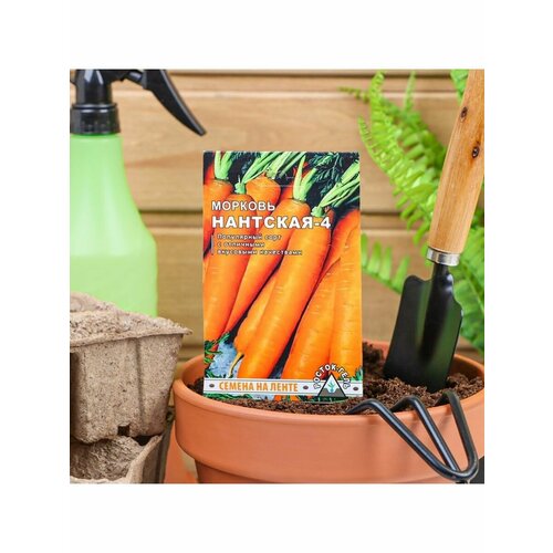 Семена Морковь Нантская 4 семена на ленте, 8 м семена морковь нантская 4 семена на ленте 8 м 4 упак
