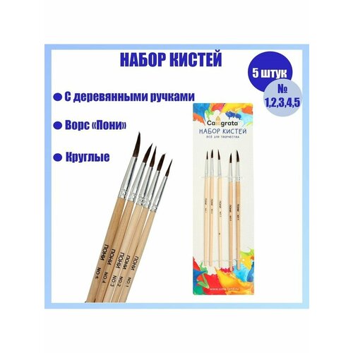 Набор кистей Пони 5 штук круглые123 312₽