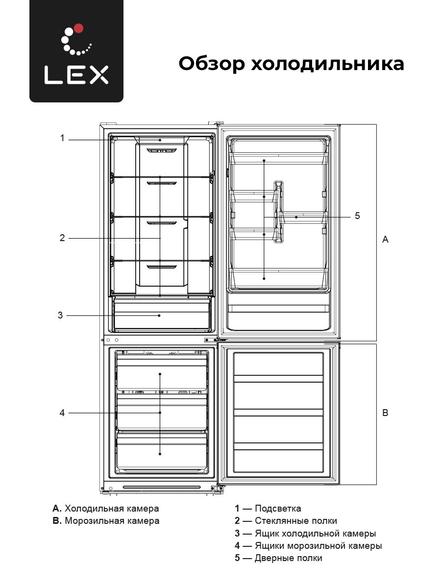 Холодильник отдельностоящий LEX LKB188.2IXD - фотография № 5