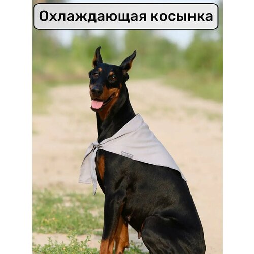 Охлаждающая косынка для собак (XL )