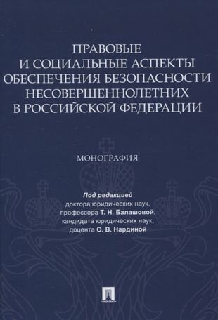 Правовые и социальные аспекты обеспечения безопасности несовершеннолетних в Российской Федерации. Монография