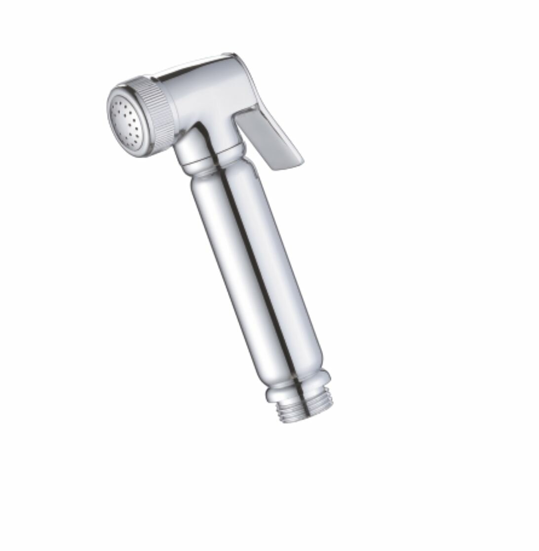 Лейка для гигиенического душа, круглая, GANZER 2011 хРОМ