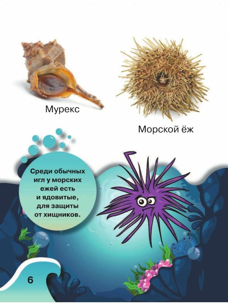 Обитатели подводного мира. 200 картинок - фото №8