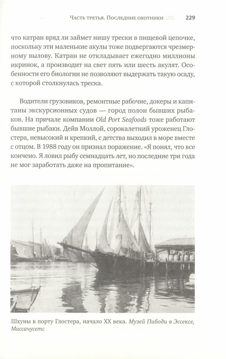 Треска (Курлански Марк) - фото №13