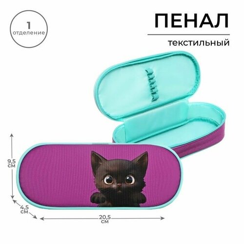 Пенал-футляр 95 х 205 х 45 мм мягкий текстильный Calligrata ПМК 27-20 резинка на клапане Котик черный 1040₽
