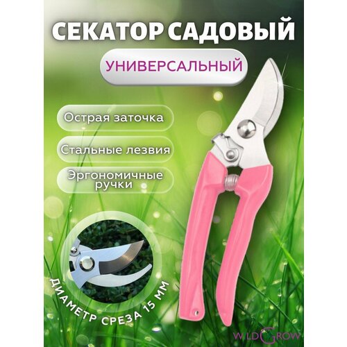 розовый