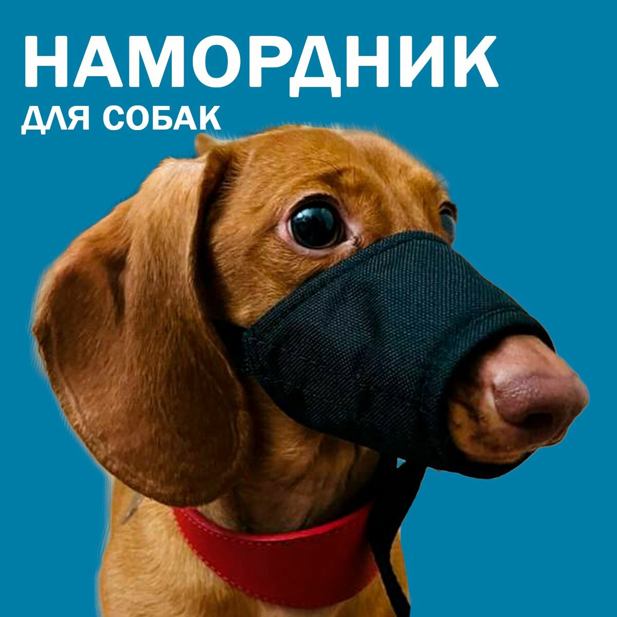 Намордник для собак...