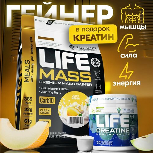 Гейнер Tree of life 6LB Дыня + Креатин моногидрат 150 грамм / Комплекс спортивного питания для набора мышц