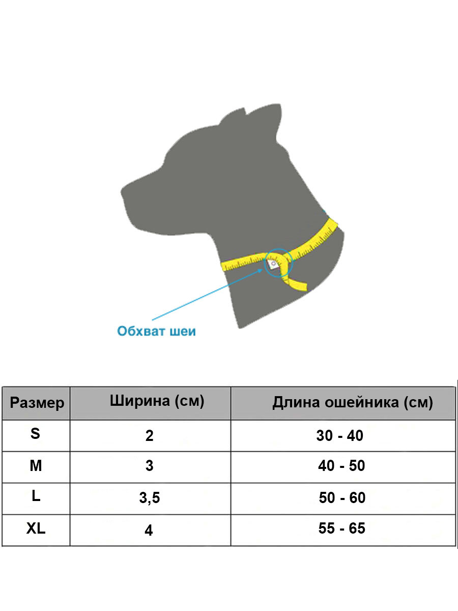Ошейник для собак, ошейник-удавка — фото 1