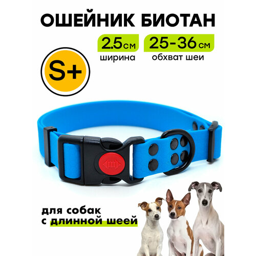 Ошейник из биотана 25-36 см (S+), 25 мм, Woofy "Iron", водостойкий, для небольших и средних собак, голубой