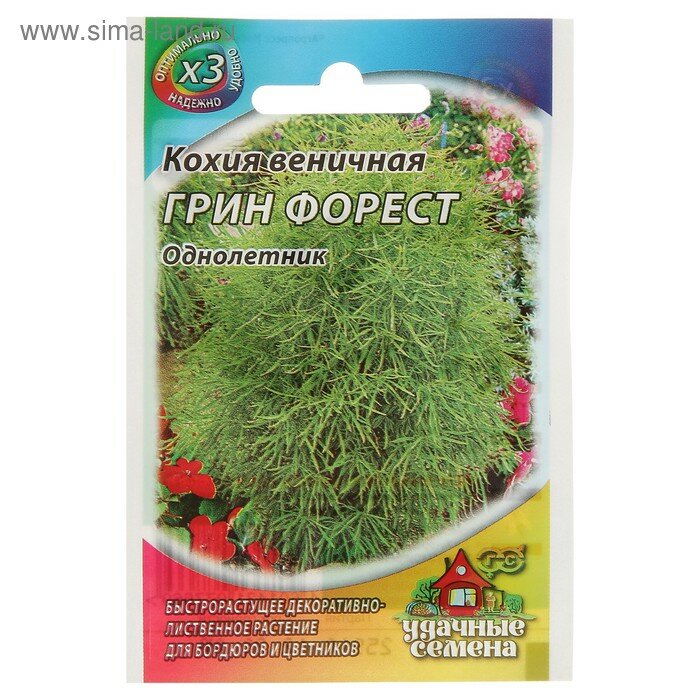 Семена цветов Кохия веничная "Грин Форест", ц/п, О, 0,2 г серия ХИТ х3