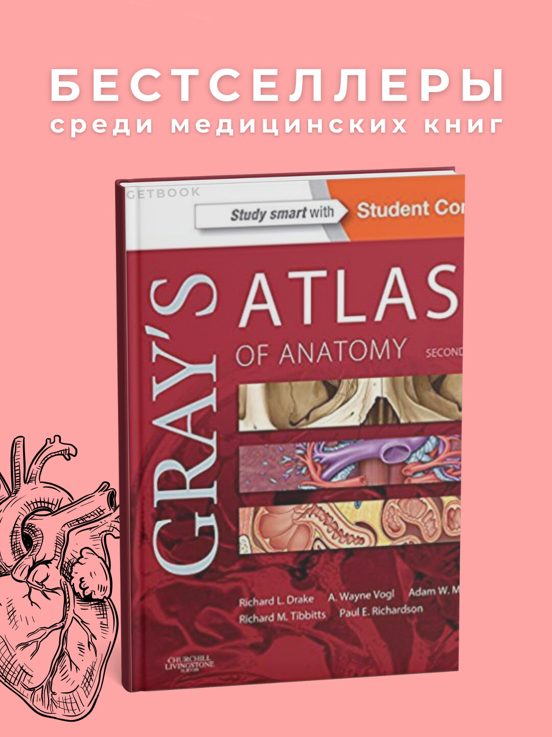 Gray's Atlas of Anatomy 2nd edition, Richerd L, мягкий переплет, черно-белые иллюстрации, 2025 г.
