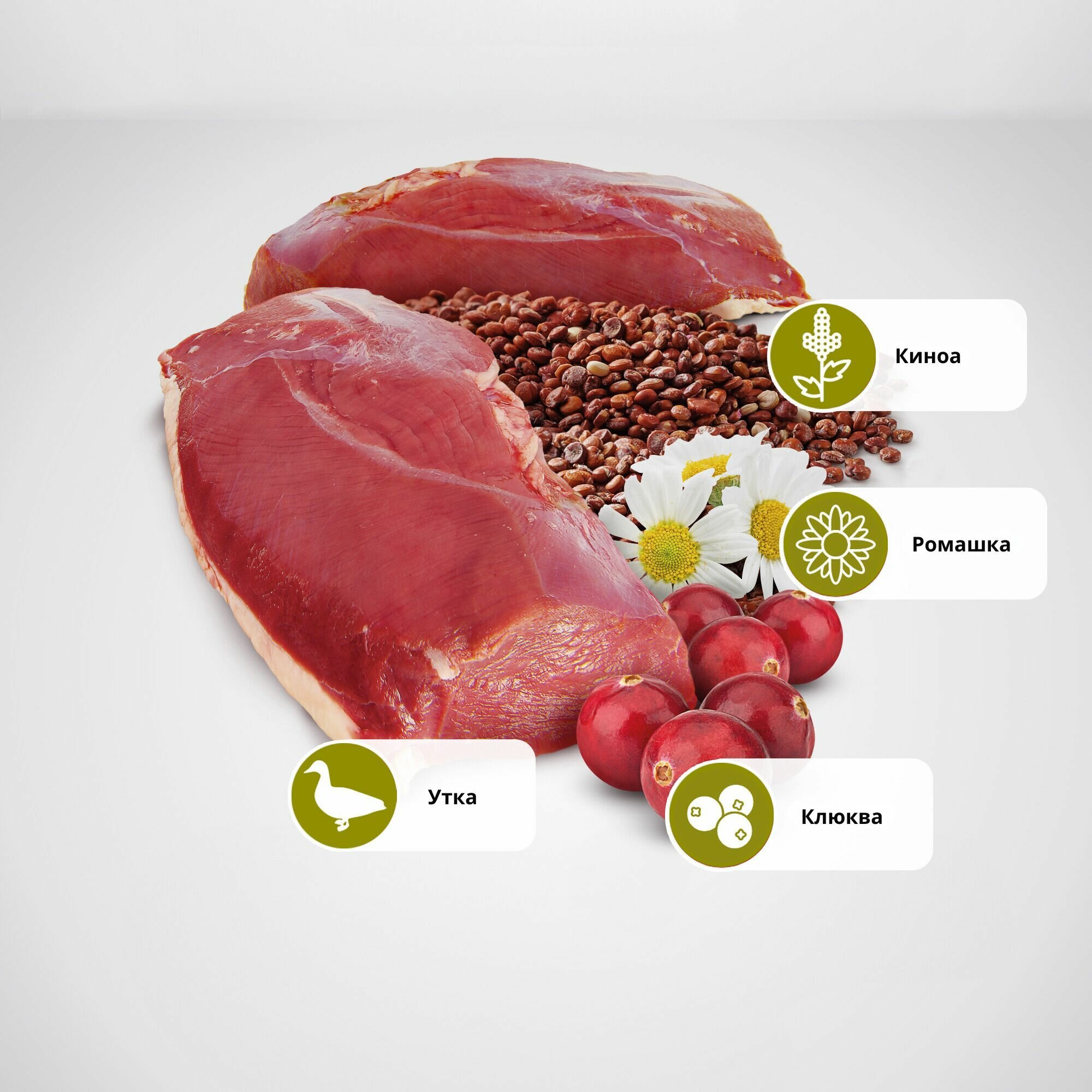 Farmina ND Quinoa Утка Для кошек Для профилактики мочекаменной болезни Фармина 1,5 кг — фото 1