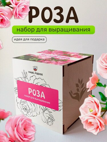 Изображение товара Набор для выращивания растений Сад на окне "Роза", в деревянном горшочке