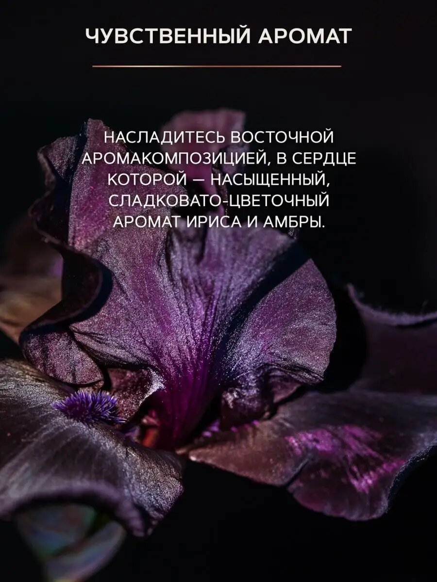 Молочко Для Тела ZEITUN Молочко для тела "Ирис и амбра" увлажняющее: натуральный афродизиак, 250мл