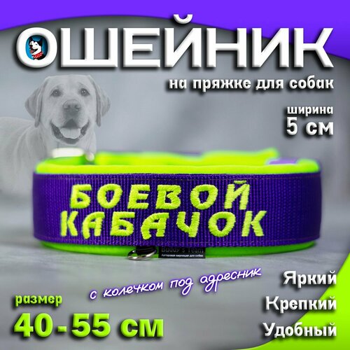 Ошейник для собак Buddy team на пряжке, с вышивкой боевой кабачок, ширина 5 см, с мягким подкладом для средних и крупных пород, размер 40-55