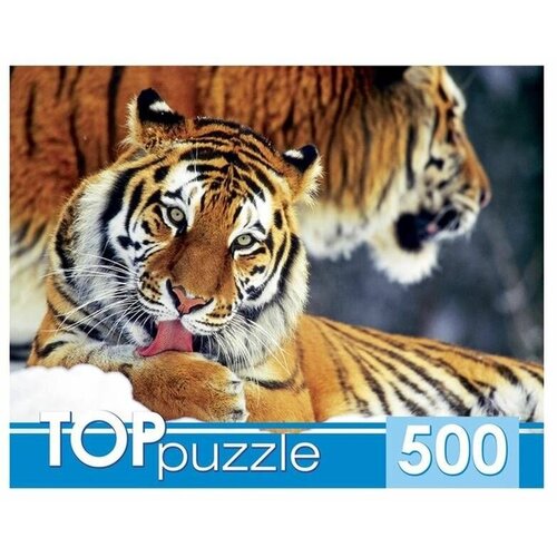 TOPpuzzle. Пазлы 500 элементов. КБТП500-6797 Два тигра пазлы кбтп500 4198 toppuzzle пазлы 500 элементов бегущий табун и 4665305741988