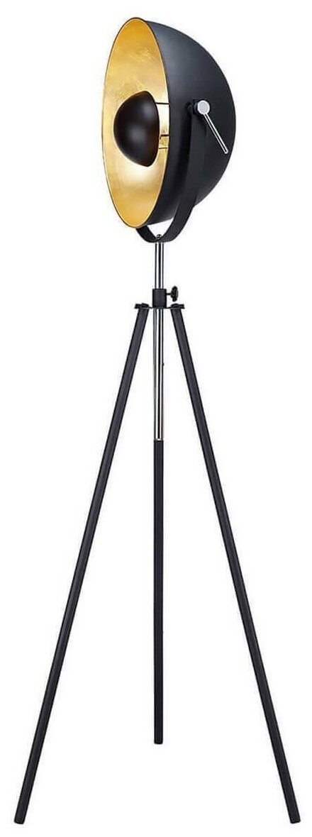 Напольный светильник Lussole Sherrelwood GRLSP-9824, E27, 10 Вт, высота: 165 см, черный