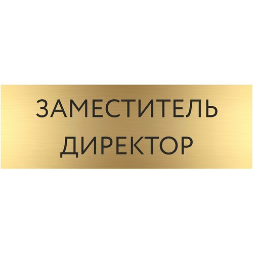 Табличка замдиректор с гравировкой (300*100 мм) с гравировкой / Табличка золото