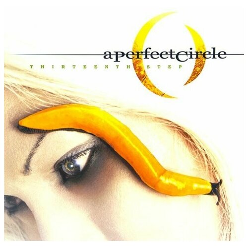 Виниловые пластинки, MUSIC ON VINYL, A PERFECT CIRCLE - THIRTEENTH STEP (2LP)