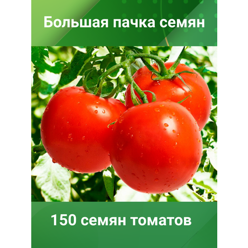 Семена томата "Адмиралтейский" (150 семян)