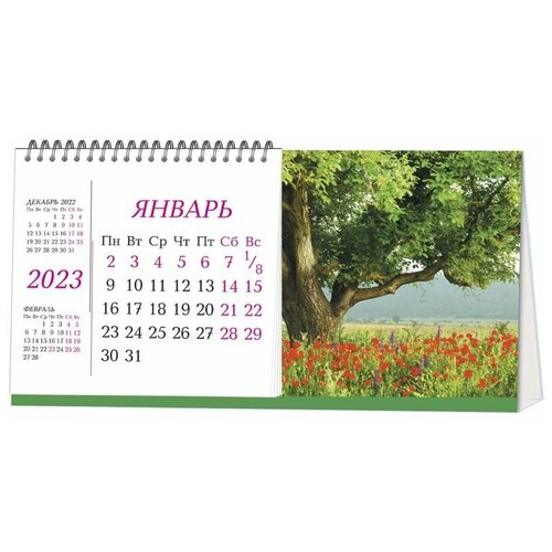 Полином/ Календарь-домик настольный на 2023 год Маковое поле календарь настольный на 2023 год цветочная фантазия