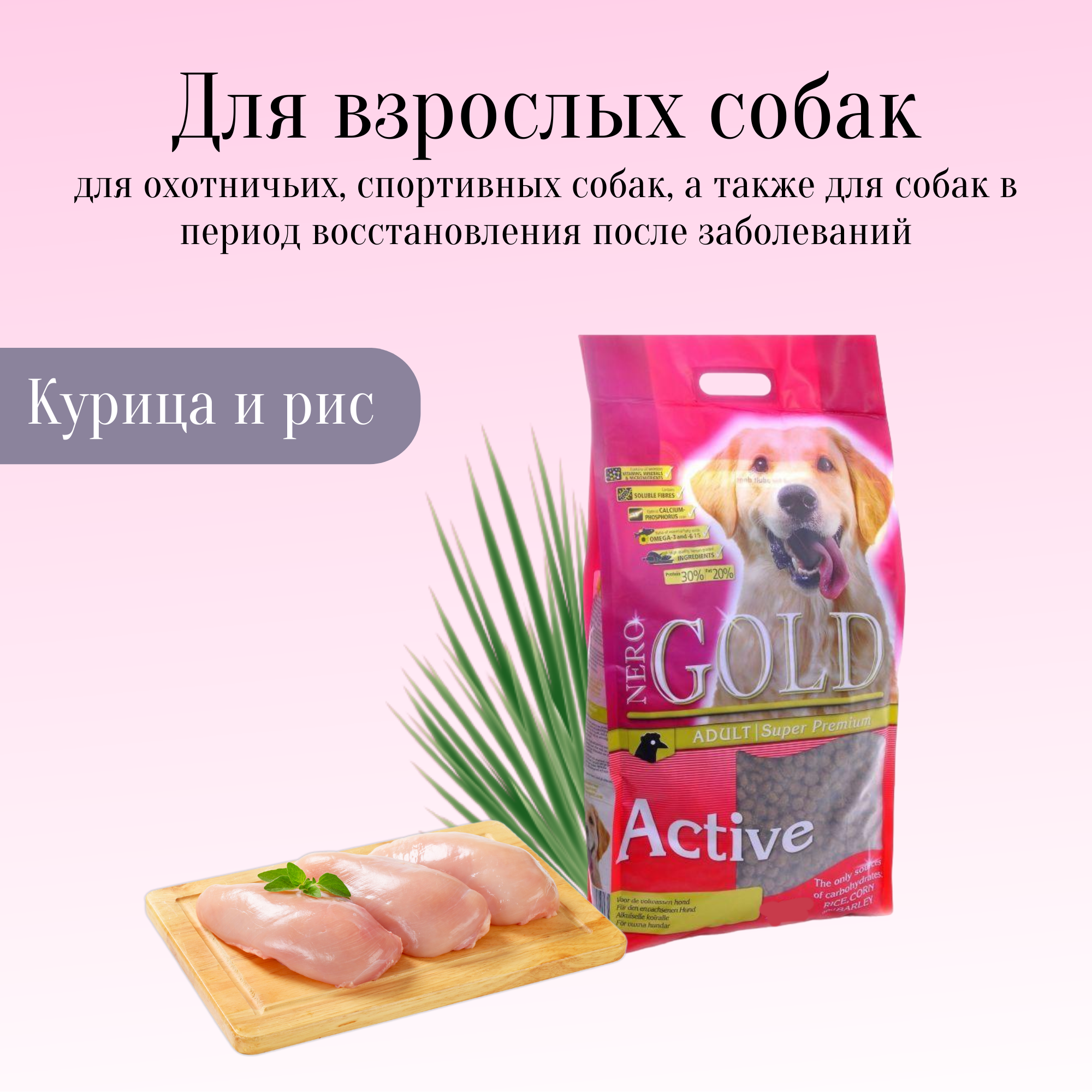 Nero Gold корм для взрослых активных собак с курицей и рисом (adult active)