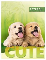 КТС-ПРО Тетрадь С0245-98 в клетку, 48 л., зеленый