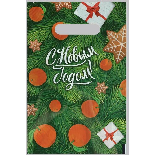 Пакет С Новым Годом полиэтиленовый с вырубной ручкой 20х30 см 30 мкм 465₽