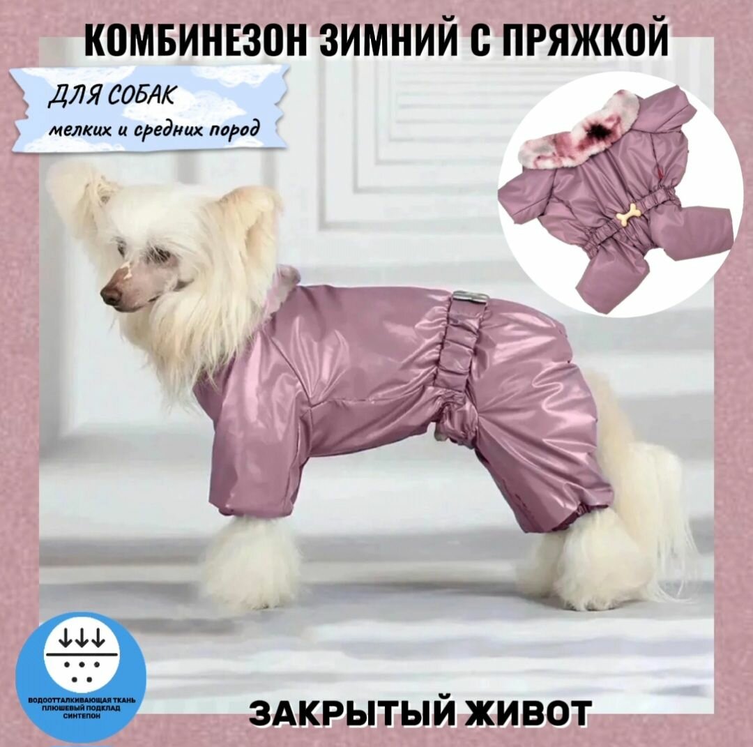 Комбинезон зимний с пряжкой для собак мелких и средних пород (девочки), розовый, р-р16