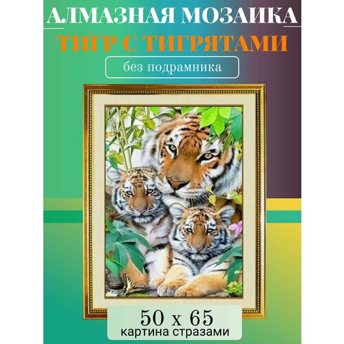 Алмазная мозаика без подрамника 50х65 см