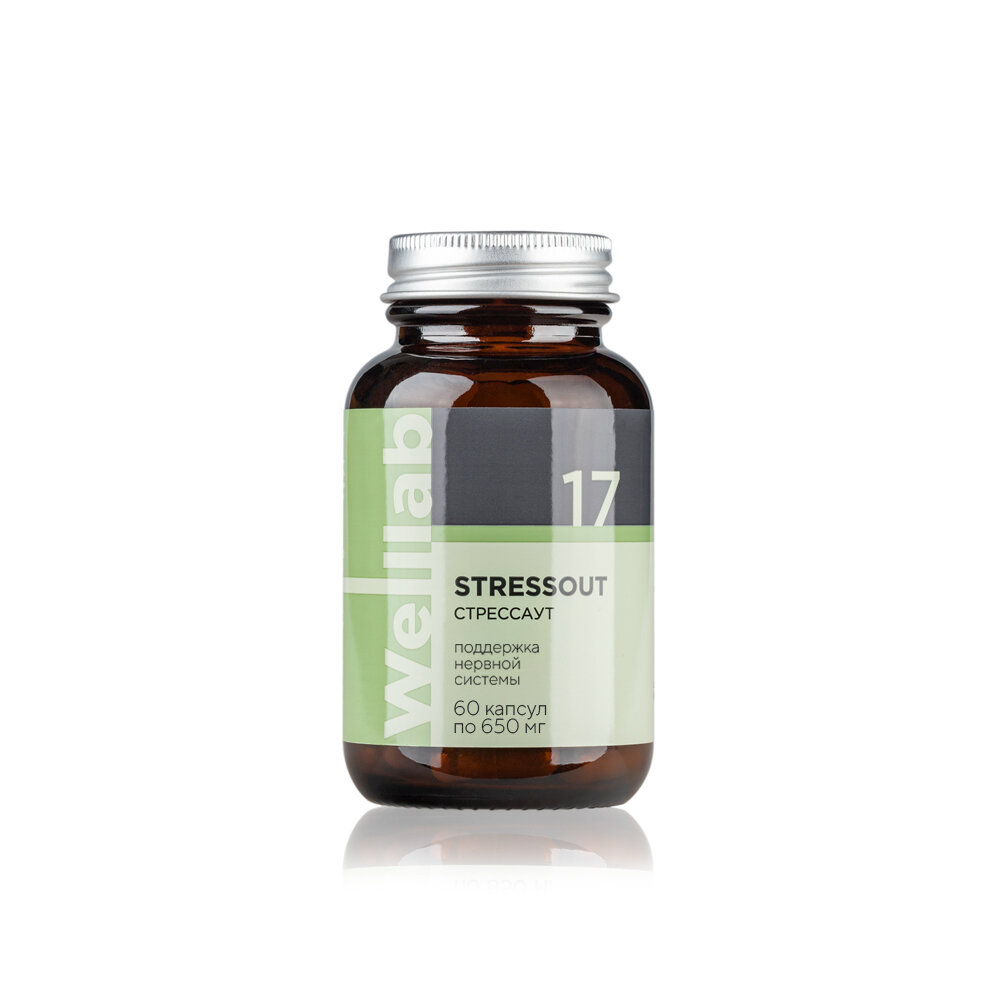 Картинки БАД для нервной системы Welllab STRESSOUT PHYTO, 60 капсул