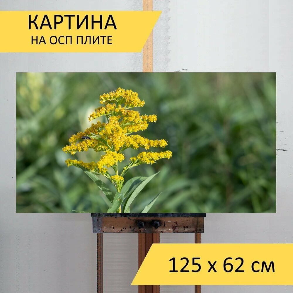 Картина на ОСП 125х62 см. 