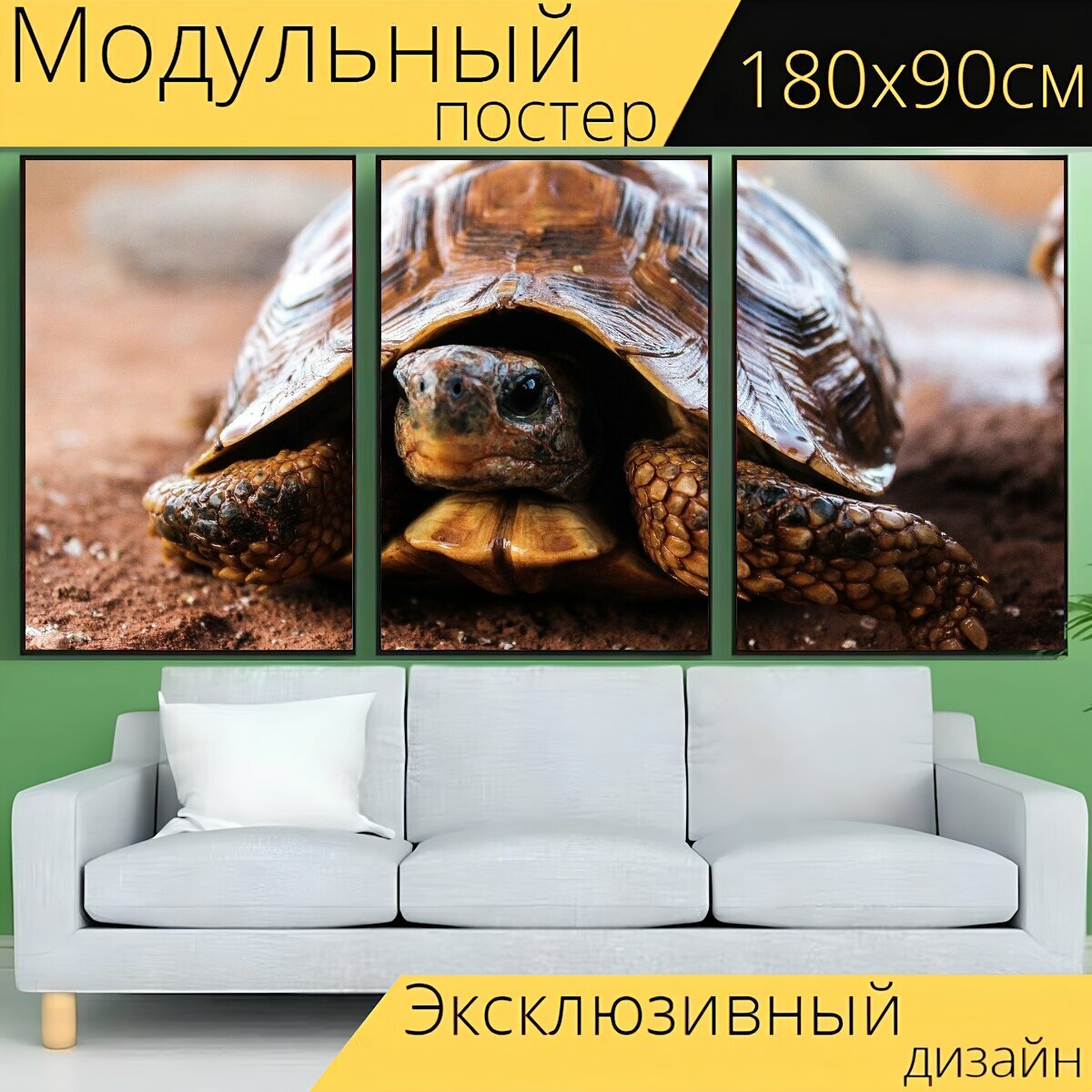 Модульный постер "Черепаха, природа, медленный" 180 x 90 см. для интерьера