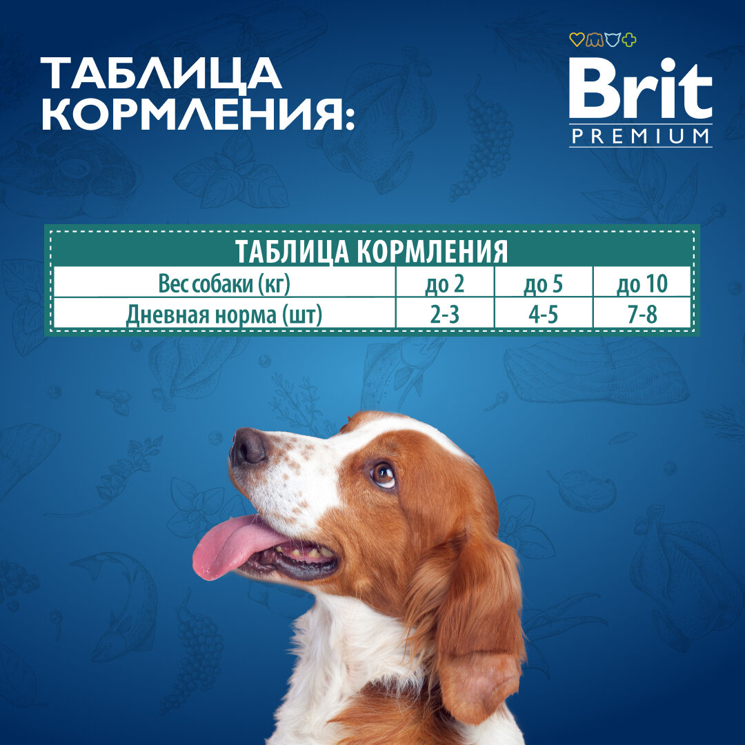 Влажный корм для собак, для взрослых собак мини пород, Утка с яблоком в соусе, 85г, 14 шт BRIT PREMIUM — фото 1