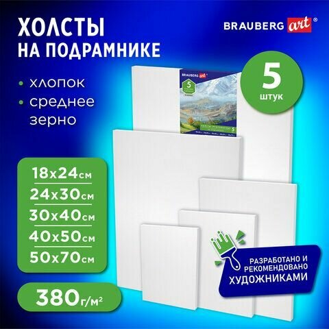 Холсты на подрамнике набор 5шт, хлопок, среднее зерно, Brauberg 190650