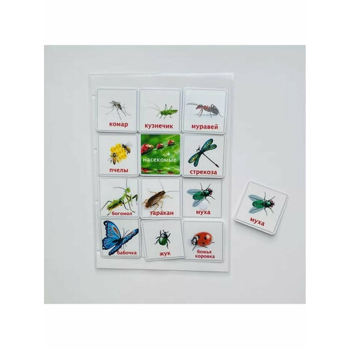 Насекомые. Развивающие пособия на липучках Frenchoponcho