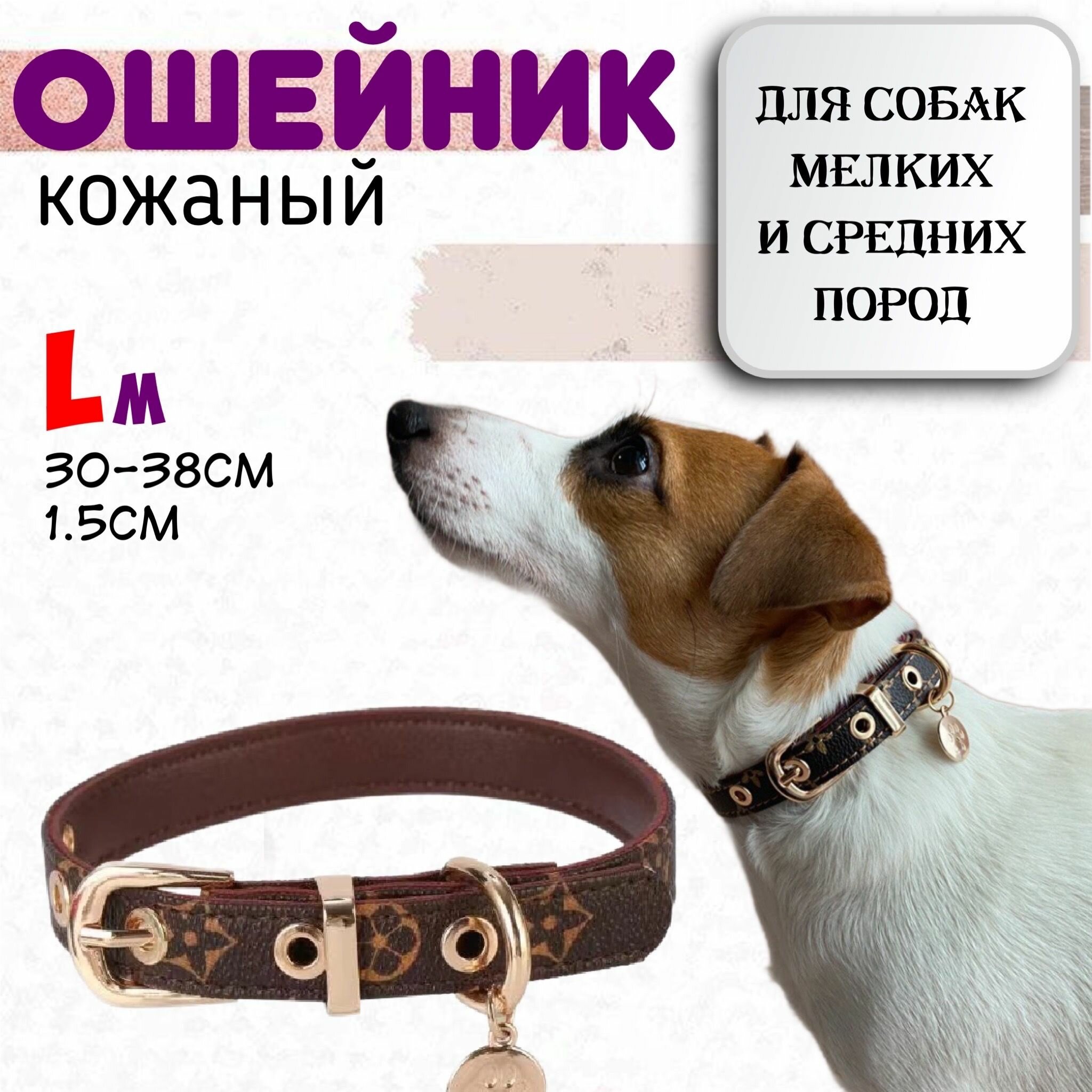 Кожаный ошейник для собак мелких и средних пород, размер L