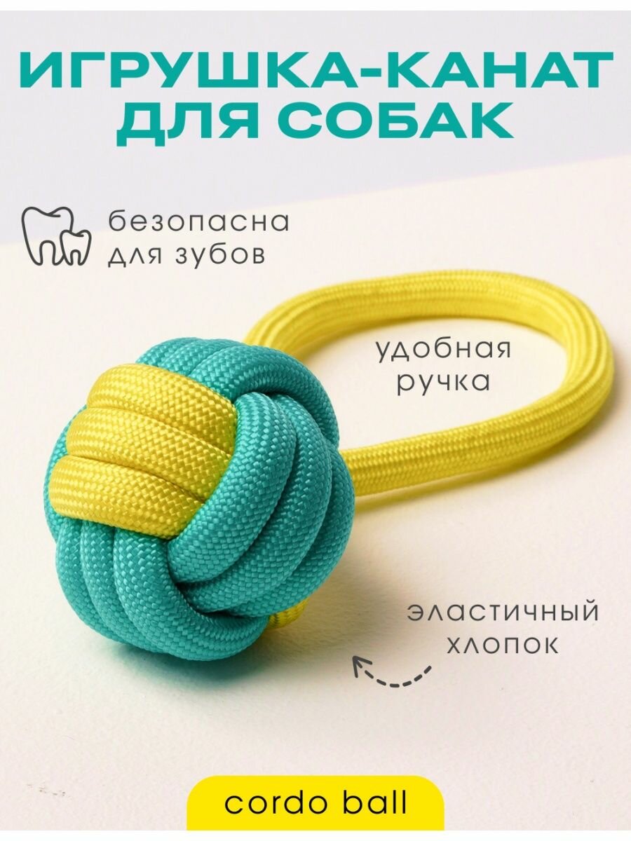 Жевательная игрушка для собак, мяч с кольцом для собак