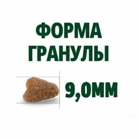 Сухой корм Guabi natural cat для кошек лосось и ячмень 1,5кг 15627 - фотография № 17