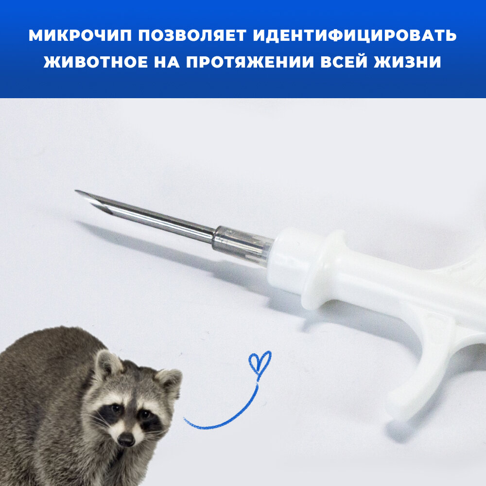 Микрочипы 1.4х8мм для домашних животных (собак, кошек, лошадей) в шприце (1 шт) — фото 1