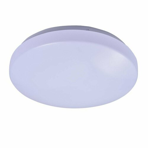 Настенно-потолочный светильник Балтийский