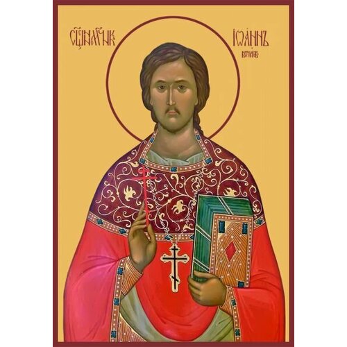 Икона Иоанн Кочуров, Царскосельский, Священномученик