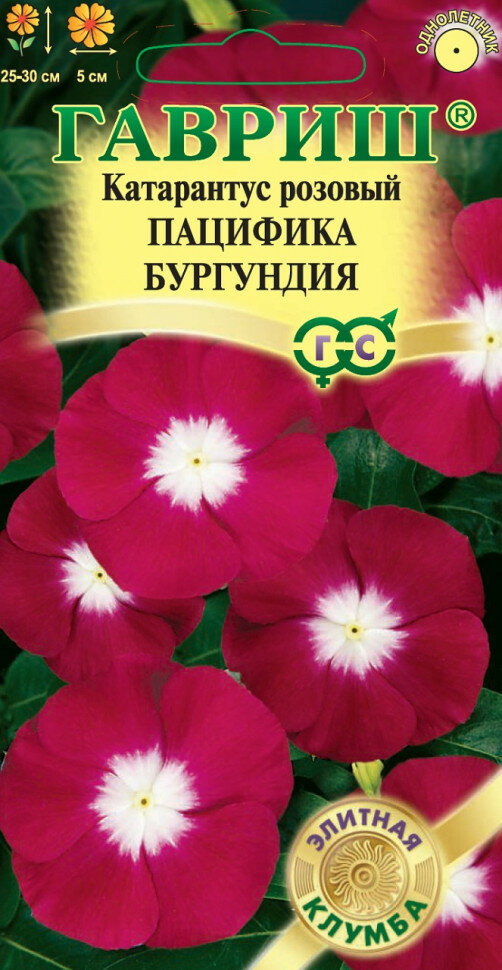 Семена Катарантус Пацифика Бургунди, 5шт, Гавриш, Элитная клумба, 10 пакетиков
