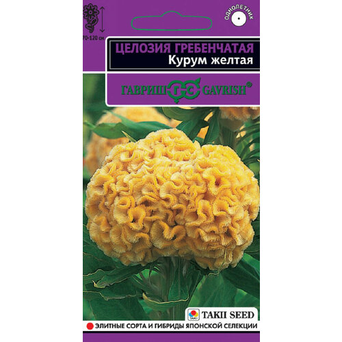 Семена Целозия гребенчатая Курум желтая, 8шт, Гавриш, Takii Seed, 10 пакетиков