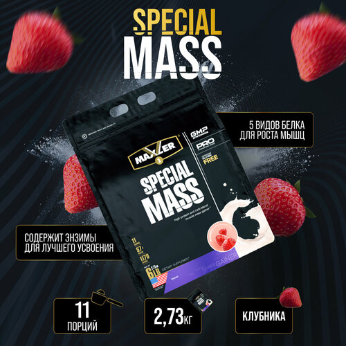 Maxler Special Gainer